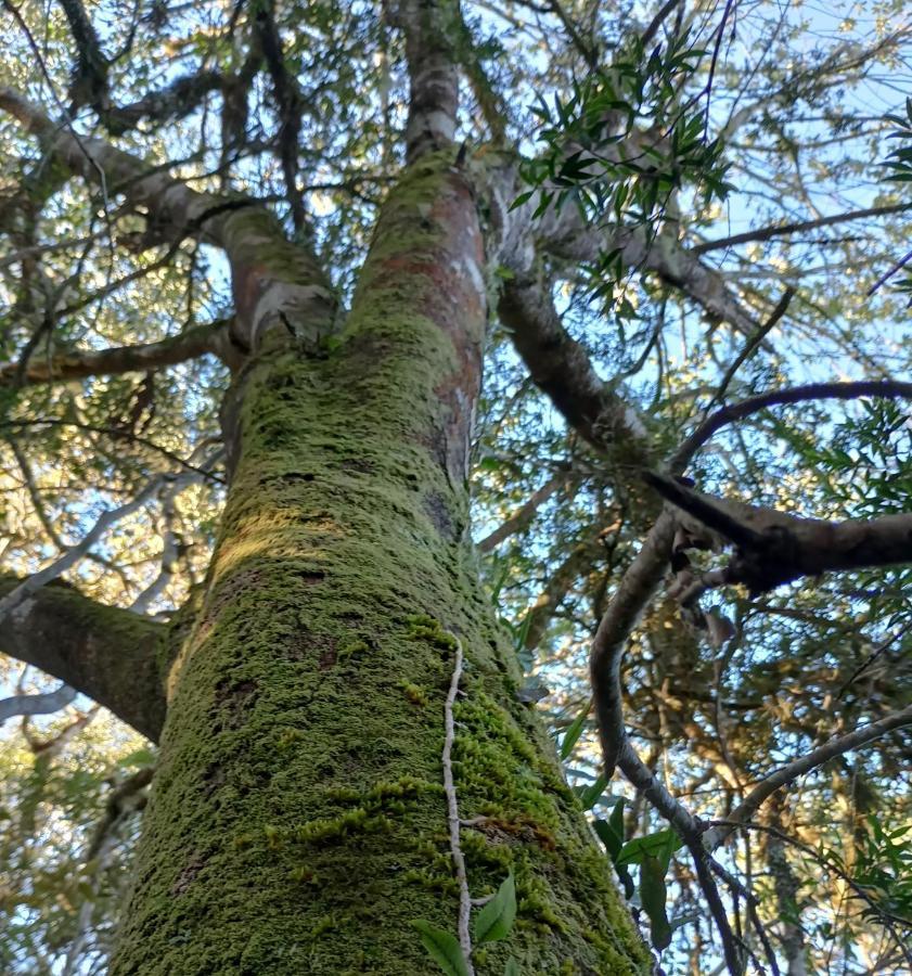 Vale Das Aguas Cambará Esterno foto